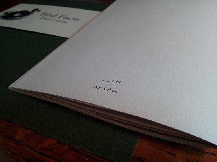 10408551_10154750610205475_1295622301085074459_n