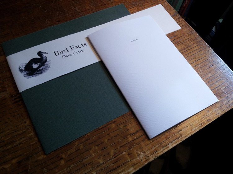 535925_10154750609795475_8397716405158121637_n